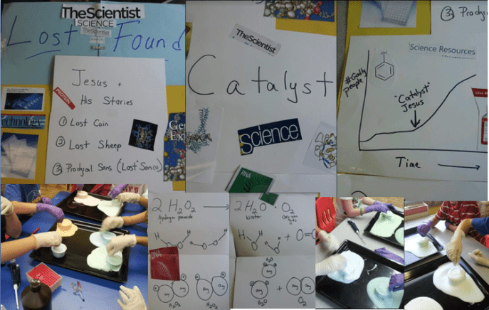 437 B catalyst one photo collage.PNG