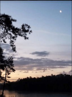 533 moon.PNG