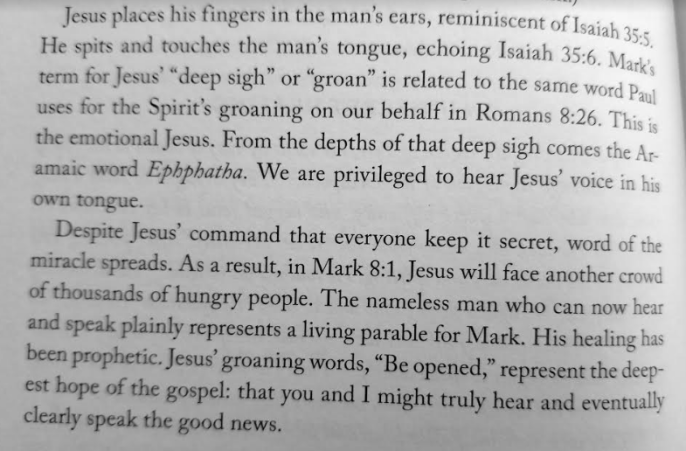 544 hear michael card book