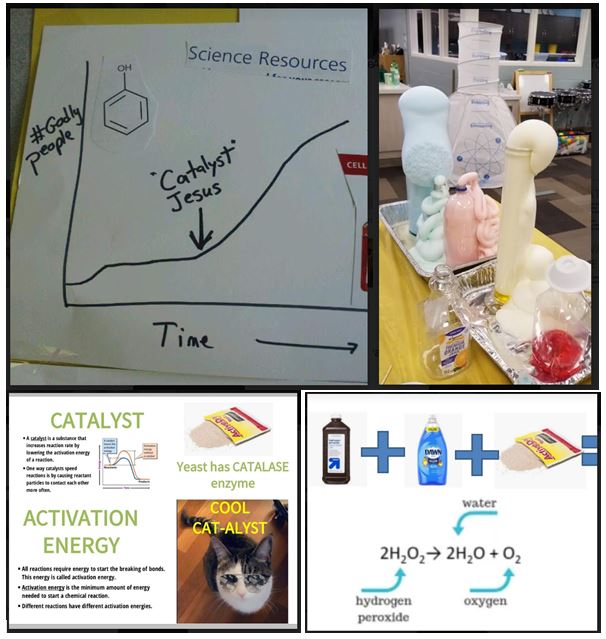 806 all science together